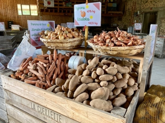 légumes pomme de terre carotte oignon echalote