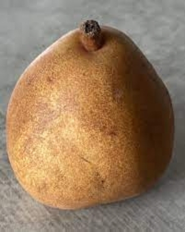 Poire Morgane