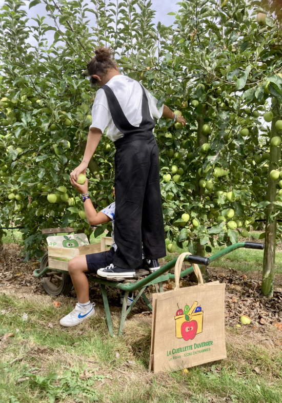 cueillette enfant pomme